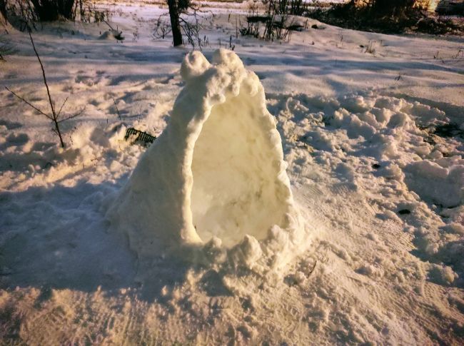 Доброжелательный снеговик из Химкинского леса ☃️

А вы за эту..