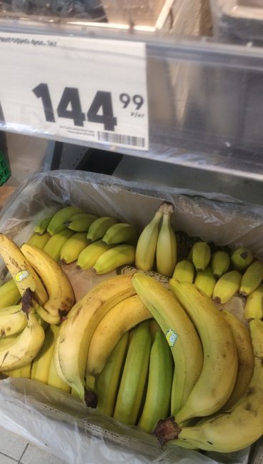 На эти бананы без слез смотреть нелегко. А на ценнике вверху..
