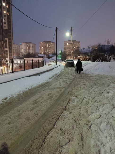Прошу принять меры по расчистке от снега дороги по улице Крайняя...