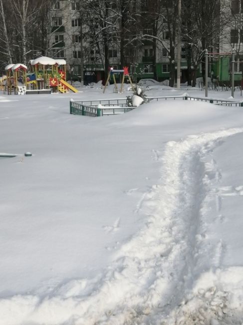 Детская площадка в посёлке Поведники Мытищинского округа...
