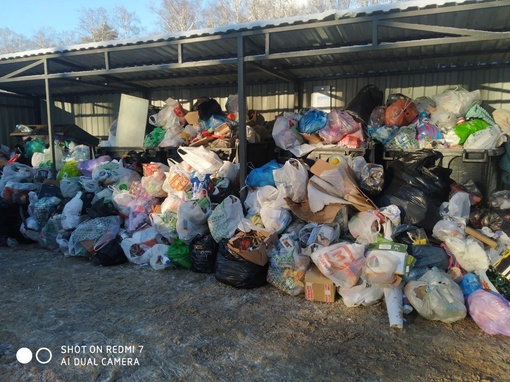 Тем временем мусорные навалы в Красногорске никуда не исчезают,..