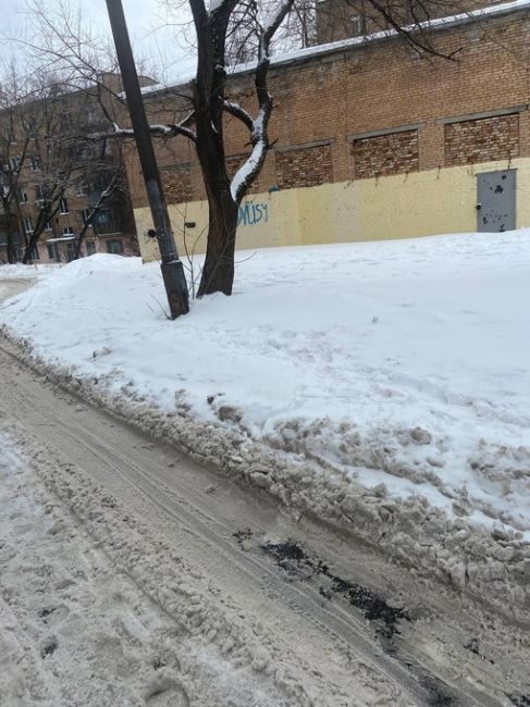 По улице Комарова дом 5 г. Мытищи систематически не чистятся..
