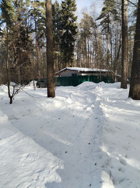 Пока жители судятся за Комитетский лес.
Пока обсуждают..