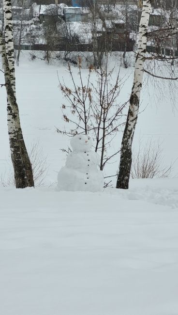 Просто снеговик на берегу р.Синичка в Красногорском..