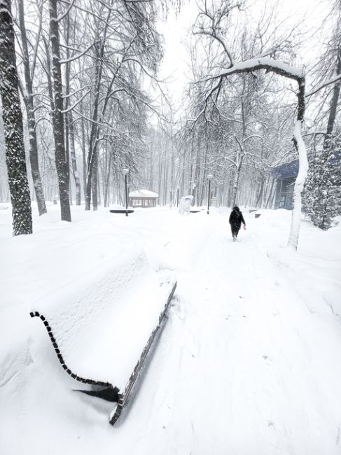 Отличные фото недавнего снегопадаСнегопад, он же циклон, "Ольга" был прекрасен или прекрасна, уж, не..