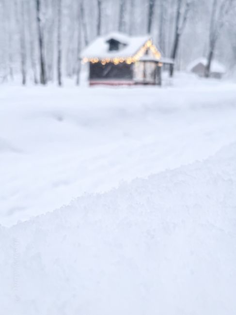 Отличные фото недавнего снегопадаСнегопад, он же циклон, "Ольга" был прекрасен или прекрасна, уж, не..