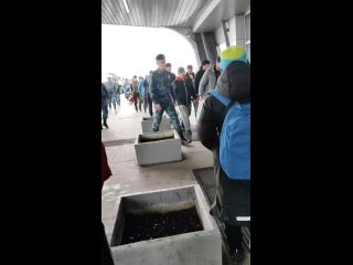 В аэропорту Пулково массово депортируют мигрантов.
Стоящие люди..