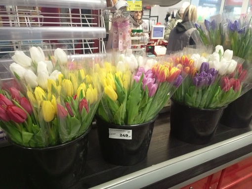 😰Мужчины, как вам цены на тюльпаны и мимозы в этом году?

🌷А..