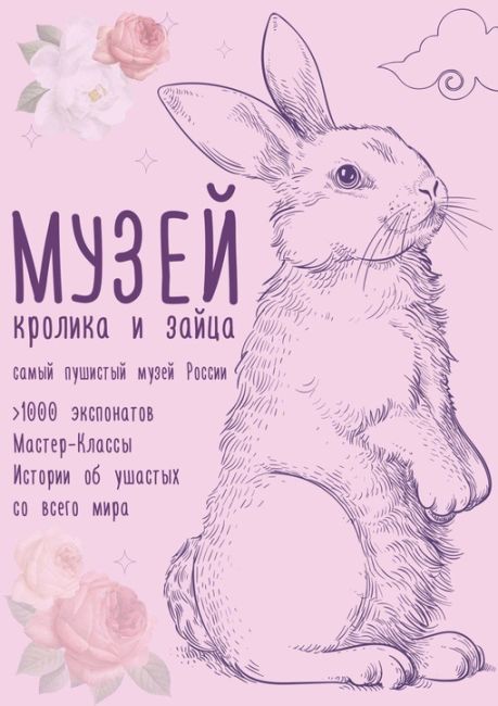 В Солнечногорске открылся Музей кролика и зайца! Здесь Вы..