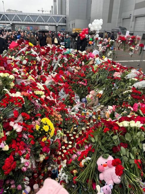 Очередь из людей у мемориала погибшим в теракте в «Крокус сити..