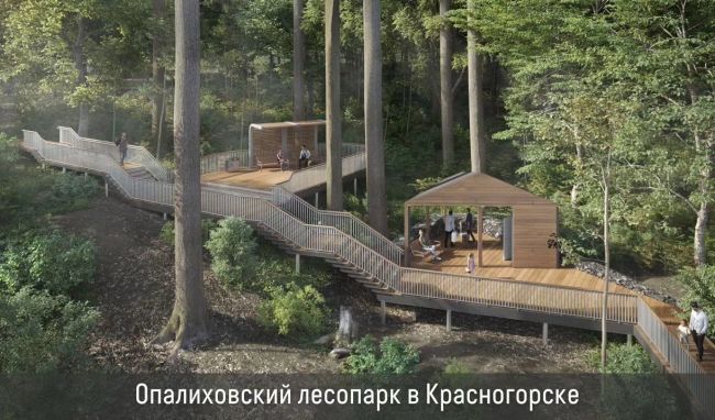«Парки в лесу»: какие любимые места отдыха жителей Подмосковья..