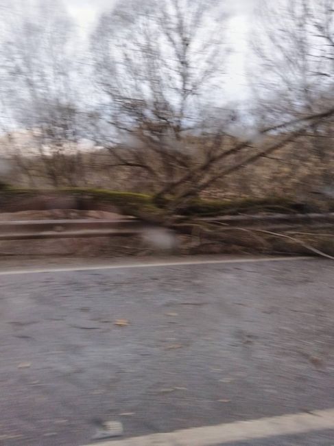 На дорогу Подольск-Быково упало дерево. Будьте..