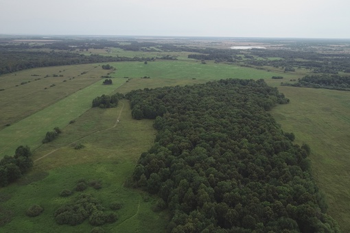 🌳🌳 Природный заказник на берегах Оки увеличился в четыре..