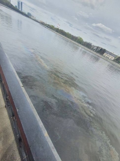 В Москве-реке на Воробьёвской набережной замечено бензиновое пятно и..