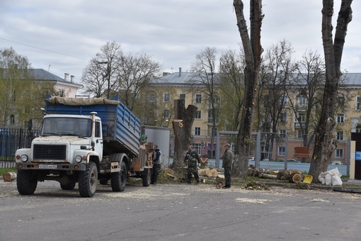 🌲 Вот такую неприглядную картину сегодня могут наблюдать..