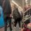 Новости Москвы: ⚡Сообщают, что в метро задержали мужчину со взрывным устройством.

О бомбе..