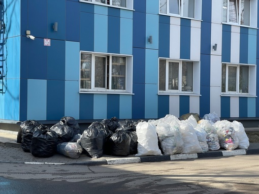 31 марта в Долгопрудном прошел очередной сбор пластикового..