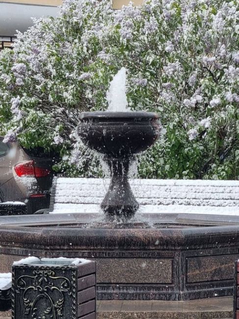 Покрытые снегом фонтаны и цветы в столице 

Немного кадров необычной красоты..