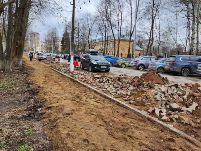 Утраченные из-за расширения дороги в Пушкино деревья..