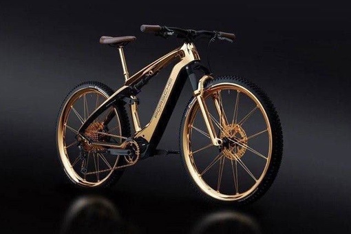 Золотой велосипед создали в России

Некоторые его детали изготовлены из..