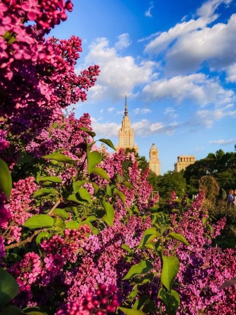 Весна в Ботаническом саду МГУ.

📸 Даша..