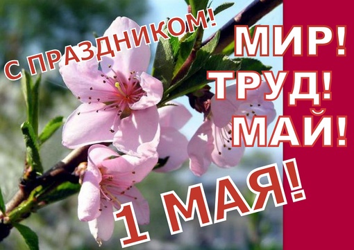 💐 1 Мая, в России отмечается Праздник Весны и Труда!
 
🎈Многие..