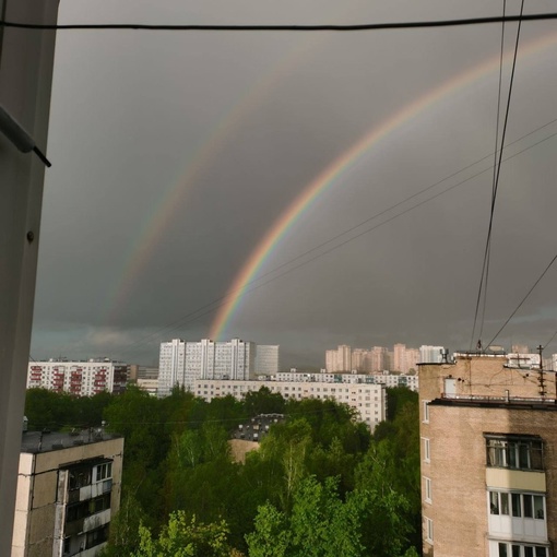 А после дождя в Москве появилась..
