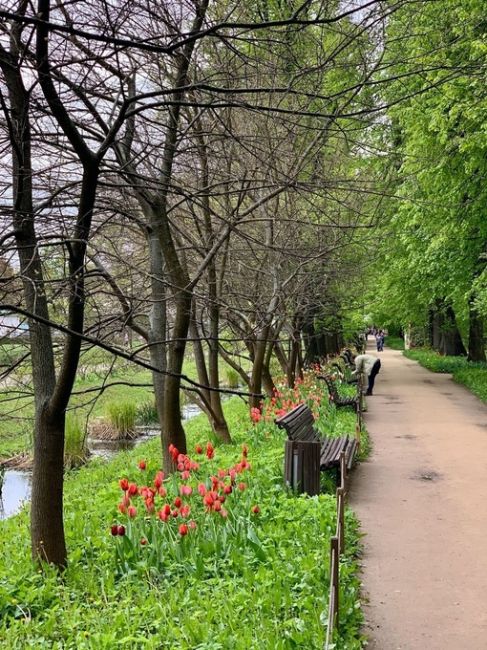 Московский Кёкенхоф. Аптекарский огород.

📸 Сергей..