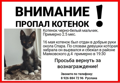 Помогите найти котенка!!!! 16 мая на станции Лобня был отдан в..