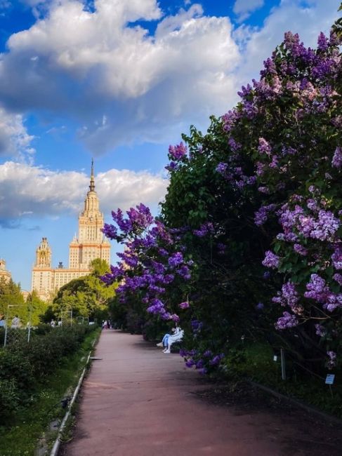 Весна в Ботаническом саду МГУ.

📸 Даша..