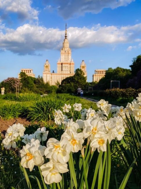 Весна в Ботаническом саду МГУ.

📸 Даша..