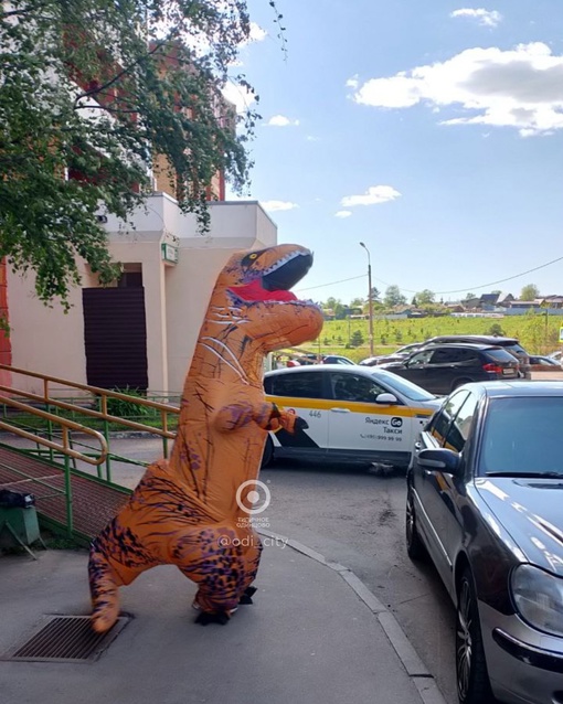 А чё там в Дубках? А, всё..