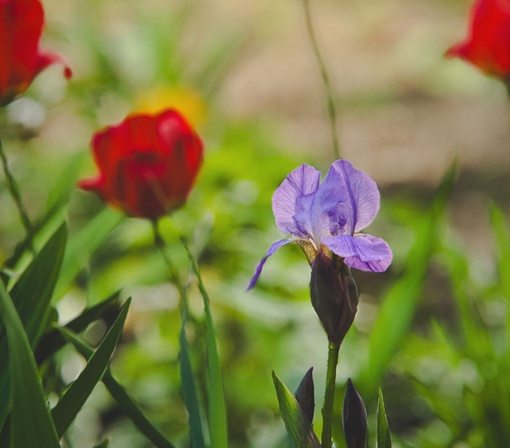 БАЛАШИХА — ЦВЕТЁТ 🌸
📸 Антон Яровой
Привет, Город! Давненько не..