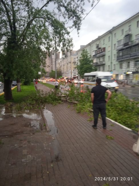 Последствия последнего весенного дождя..