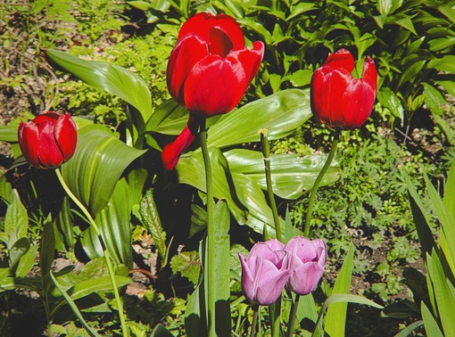 БАЛАШИХА — ЦВЕТЁТ 🌸
📸 Антон Яровой
Привет, Город! Давненько не..