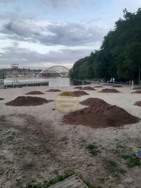 От подписчика:
____________
На пляж парка Толстого завезли новый песок!..