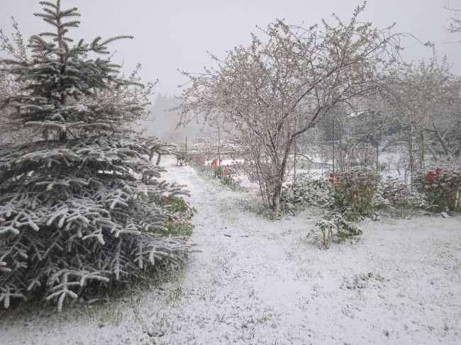 Вот сколько снега выпало сегодня севернее Химок!☃️
Таким..