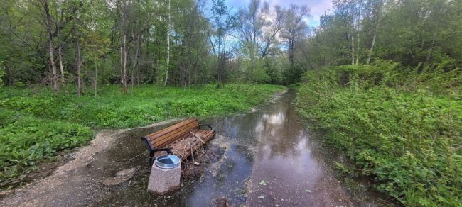 😕В деревне Гаврилково активно застраивают коттеджный посёлок..