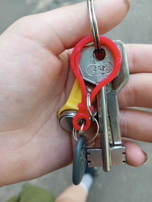 Нашли ключи на Флёрова 5/2 рядом с площадкой. Владелец отзовись...