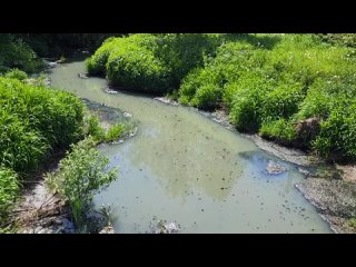 Река Скалба умирает! 
Происходит экологическая катастрофа...