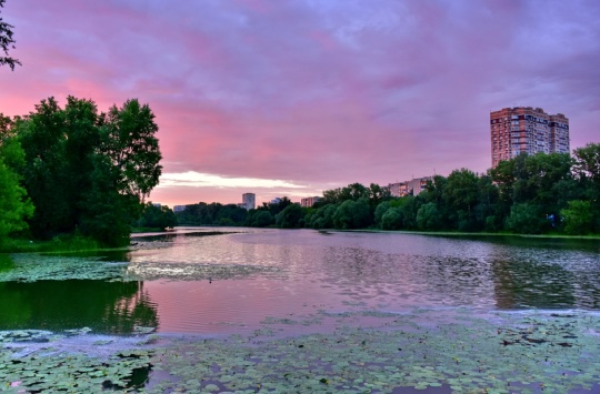 ДОБРЫЙ ВЕЧЕР ❤ БАЛАШИХА
Всем такого же настроения, как на фото..