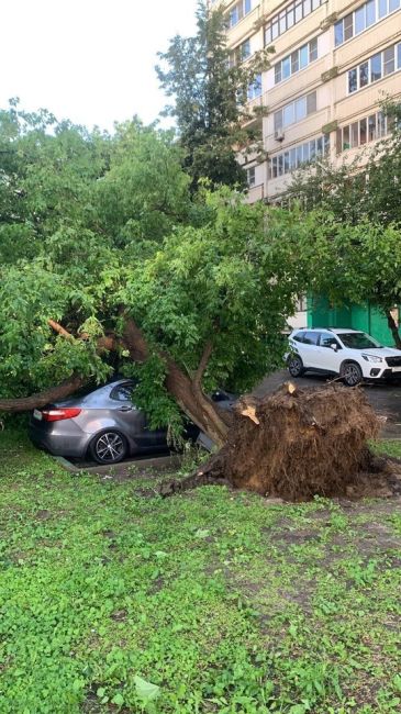 Сегодня после дождя рухнуло дерево и столб в 3-м Лихачевском переулке

Повреждены..