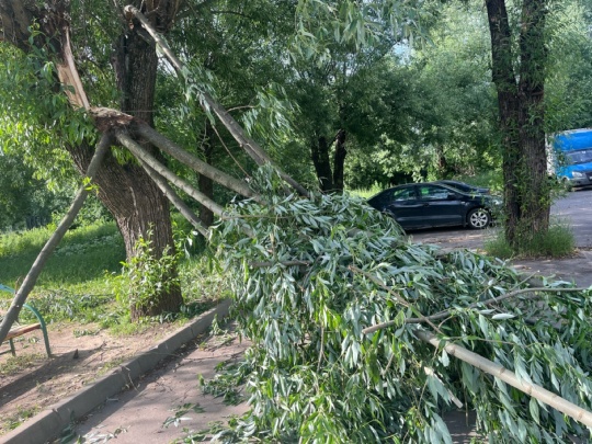 Добрый день,вчера упало дерево рядом с детской площадкой ,до..