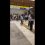 Новости Москвы: На станции Синдзюку в Токио был замечен тануки (японское название енотовидной..