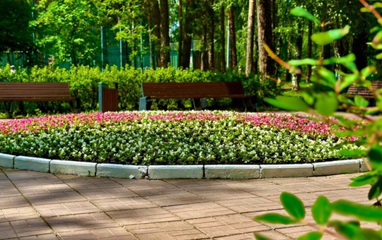 В этом году в парках Красногорска высадили много цветов...