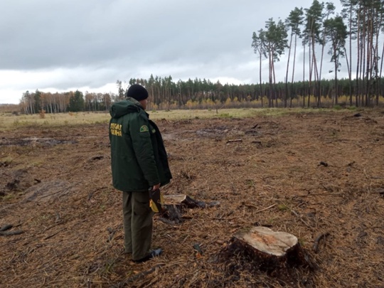 Красногорский городской суд начал рассмотрение резонансного..