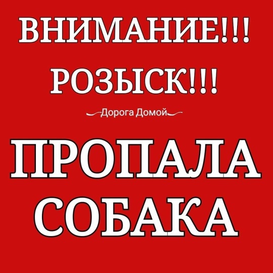 18 июня в Мытищенском районе, деревня Сорокино с частной..