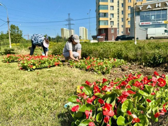 🌷Более 35 тысяч цветов цветов высадили в Красногорске с начала..