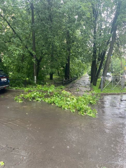 📍В Перловском районе, Города Мытищи, ураган повалил дерево..