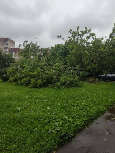 Последствия непогоды в 18 микрорайоне

У многих ли людей..